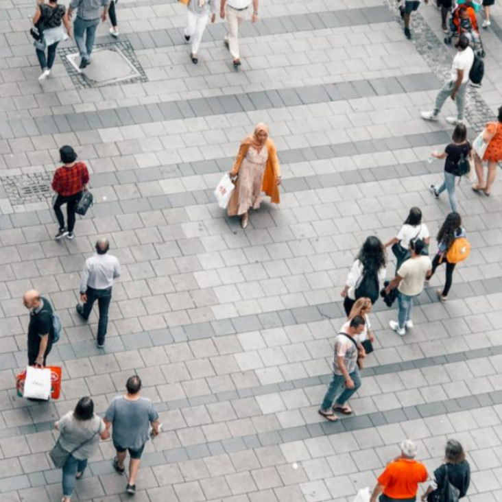 I Report-Monitoring startet im Sommer!